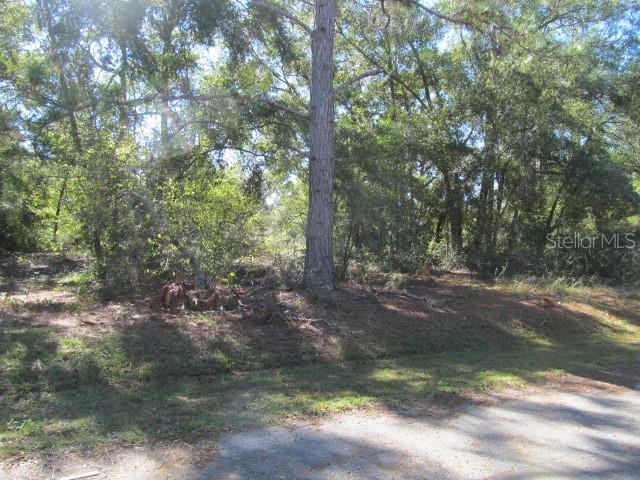 A wooded, undeveloped residential lot with a paved road in the foreground — 00 SE 169TH COURT, OCKLAWAHA, FL