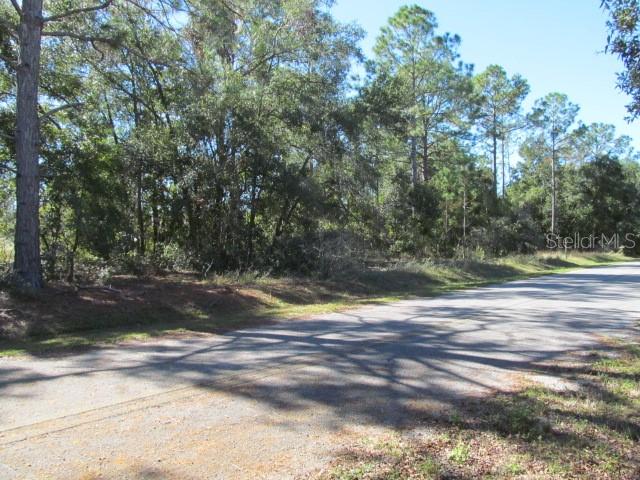 A paved road runs alongside a wooded lot with tall pine and oak trees — 00 SE 169TH COURT, OCKLAWAHA, FL