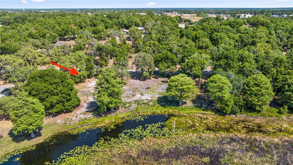 An aerial view shows a vacant, wooded lot bordering a pond with lily pads — 0 SE 110TH STREET ROAD, BELLEVIEW, FL
