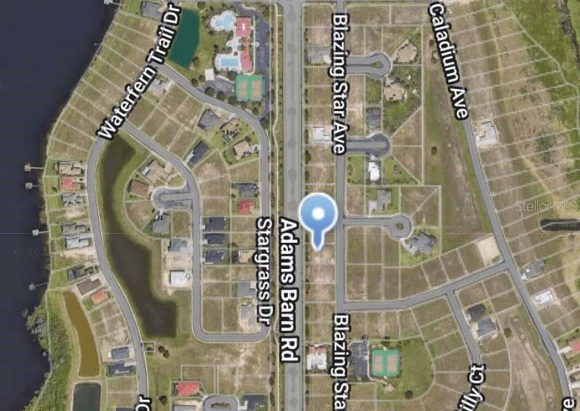 This is an aerial map view of a residential neighborhood with undeveloped land plots — 211 BLAZING STAR AVENUE, LAKE ALFRED, FL