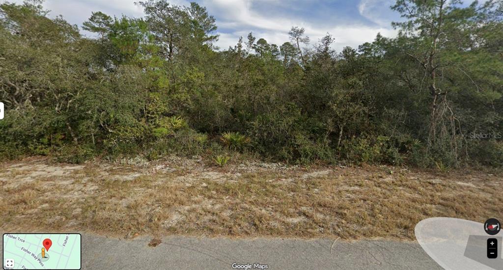 This is a street-level view of a vacant, wooded lot bordering a paved road — FISHER TRACE TRAIL, OCKLAWAHA, FL