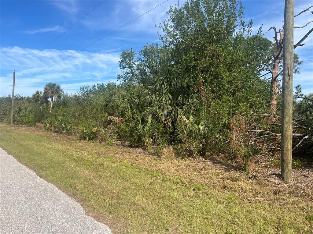 A view of a vacant, wooded lot bordered by a paved road and utility poles — 7002 PRINCETON STREET, PORT CHARLOTTE, FL