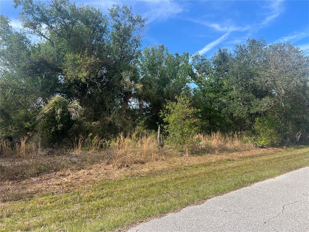 A grassy roadside leads to a dense, wooded lot with various trees and shrubs — 7002 PRINCETON STREET, PORT CHARLOTTE, FL