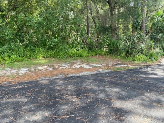 A paved road borders a wooded lot with sandy ground and dense green vegetation — 00, DELAND, FL