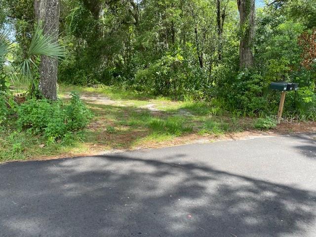 A paved road leads to a dirt driveway entrance surrounded by dense trees and vegetation — 00, DELAND, FL