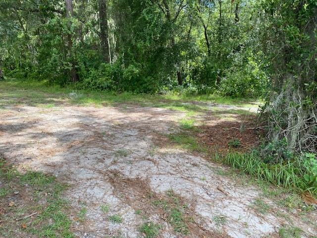 A sandy, partially shaded lot is surrounded by dense trees and natural vegetation — 00, DELAND, FL