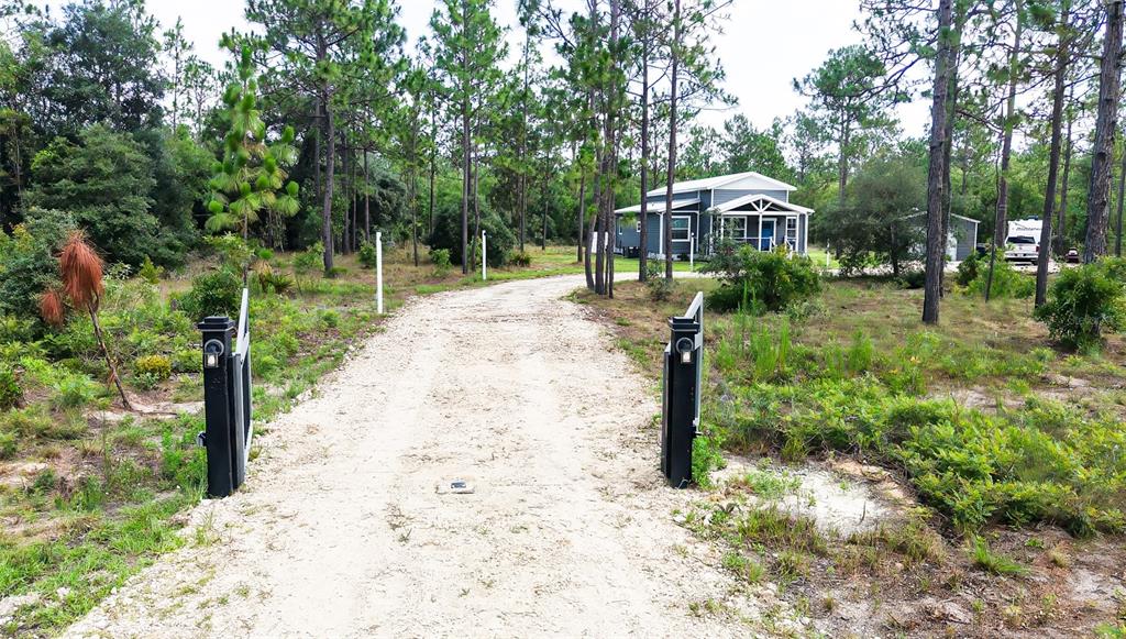 A gravel driveway leads through a gate toward a house surrounded by pine trees — 13971 SE 82ND LANE, DUNNELLON, FL