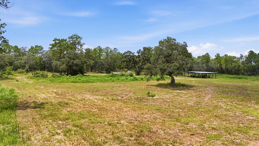 A large, grassy field with scattered trees and a small open-sided shelter in the distance — 209 S SPICE WOOD TERRACE, LECANTO, FL