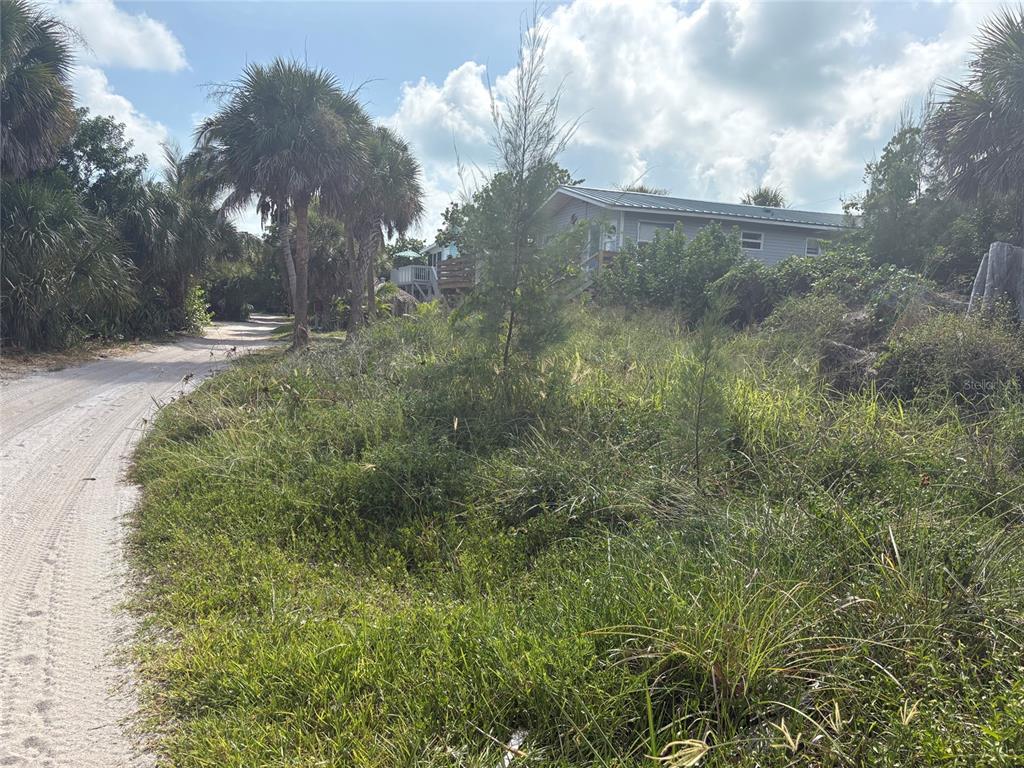 A sandy road runs alongside a grassy lot with palm trees and a distant house — 8990 SEAGRAPE LANE, PLACIDA, FL