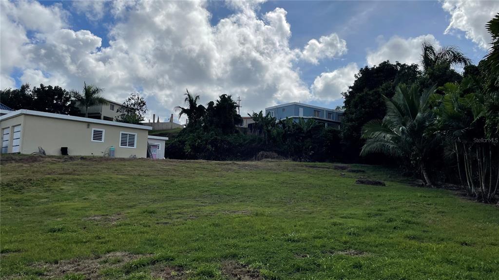 A grassy, sloped lot sits in front of a light-colored house and dense tropical vegetation — CANABONCITO STRD 172 KM7.5, CAGUAS, PR