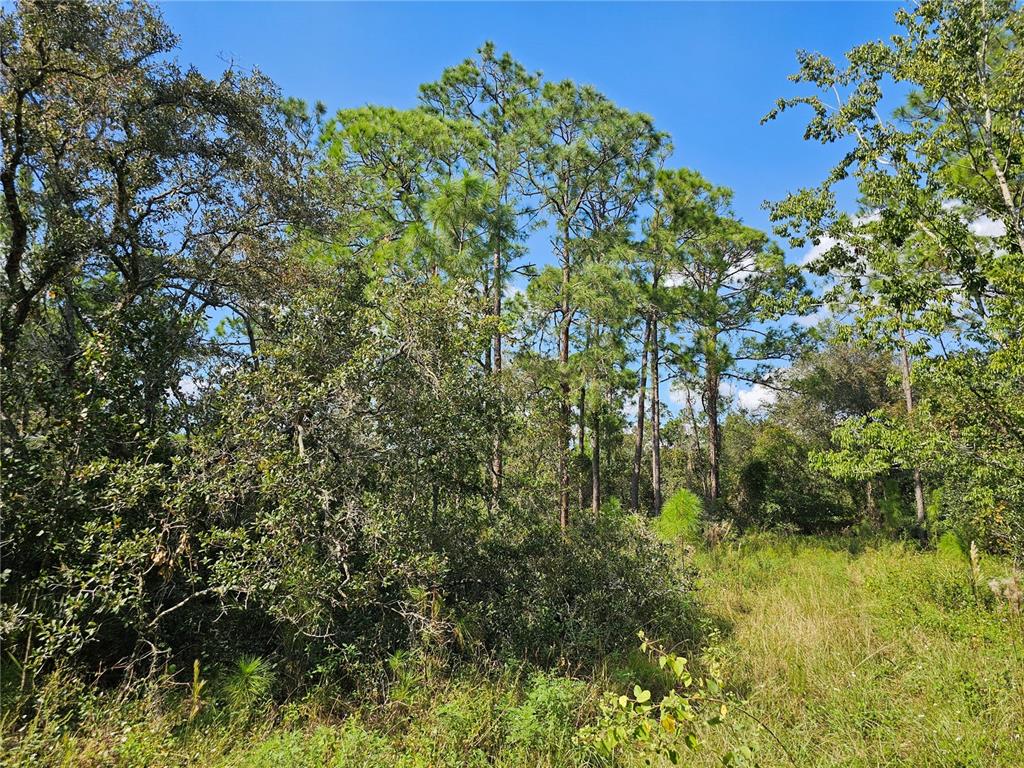 7105 ORCHID PLACE, SEBRING, FL — photo 2 of 8