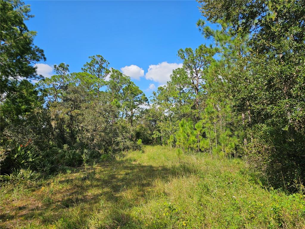 7105 ORCHID PLACE, SEBRING, FL — photo 3 of 8