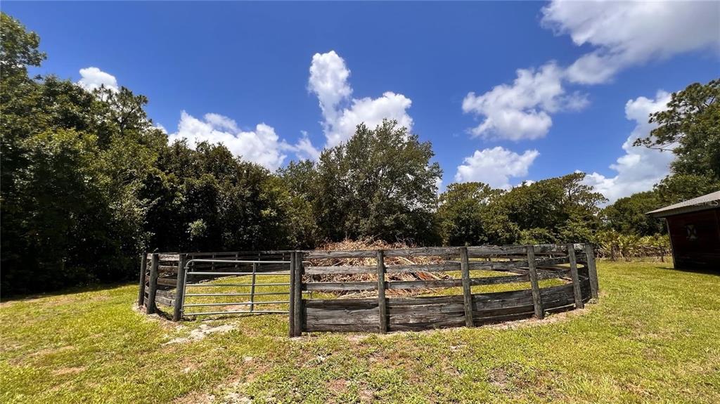 A round wooden horse pen sits in a grassy yard near a wooded area — 3060 RAMBLER AVENUE, ST CLOUD, FL