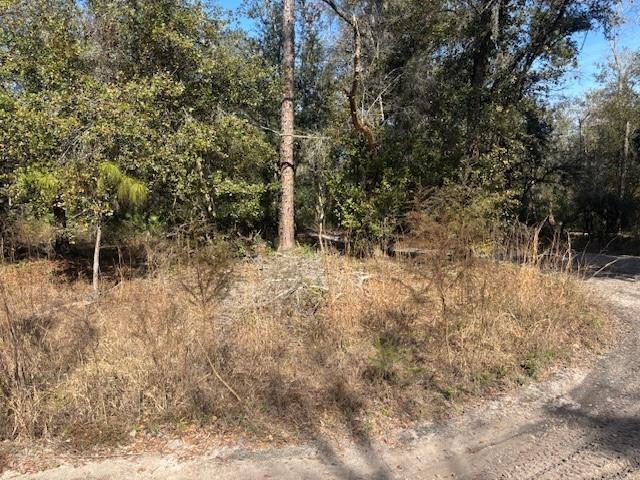 0 County Rd 54, FL 33849, FL — photo 2 of 4