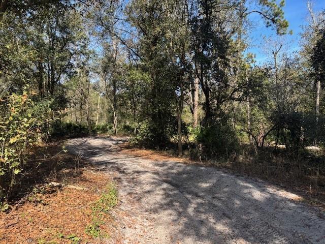 0 County Rd 54, FL 33849, FL — photo 3 of 4