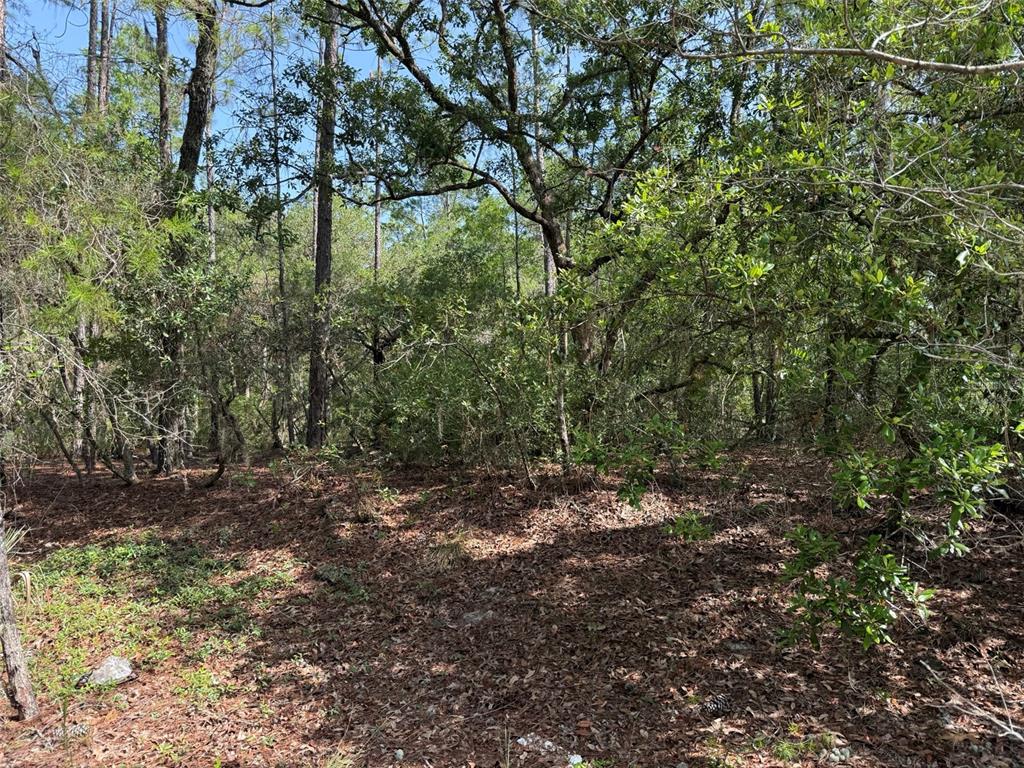 101 WASHINGTON AVENUE, SATSUMA, FL — photo 2 of 5
