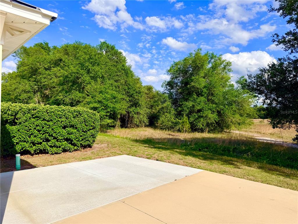 A concrete patio overlooks a grassy yard bordered by a dense line of trees — 4885 SE 92ND BOULEVARD, WEBSTER, FL