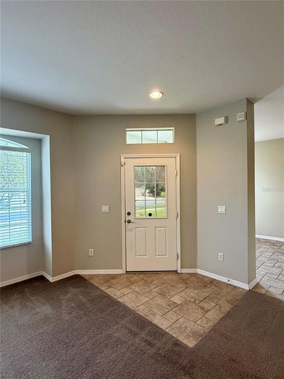 An entryway features a white door, tile flooring, and carpeted living space — 3345 CHAPEL CREEK CIRCLE, WESLEY CHAPEL, FL