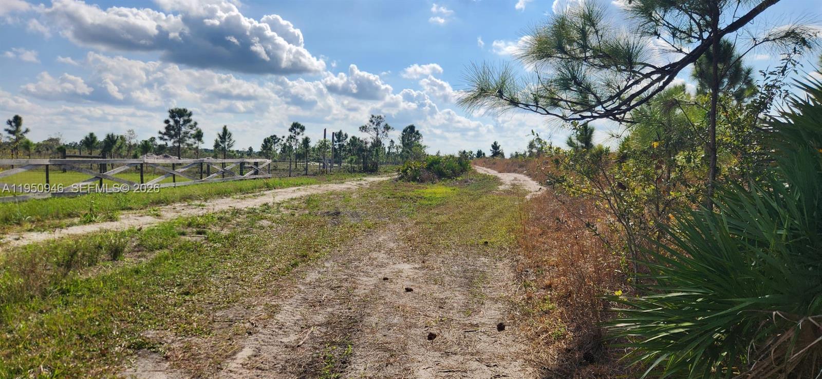 A dirt path leads through a grassy, wooded lot with a wooden fence — 48345 Bermont Rd, Punta Gorda FL 33982, PUNTA GORDA, FL