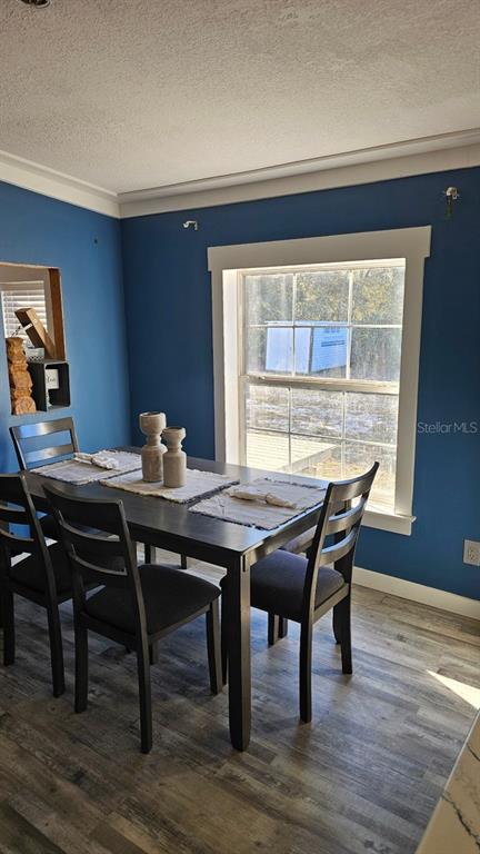 A dining room with blue walls, a dark wood table, four chairs, and a window — 42349 FONSECA LANE, DELAND, FL