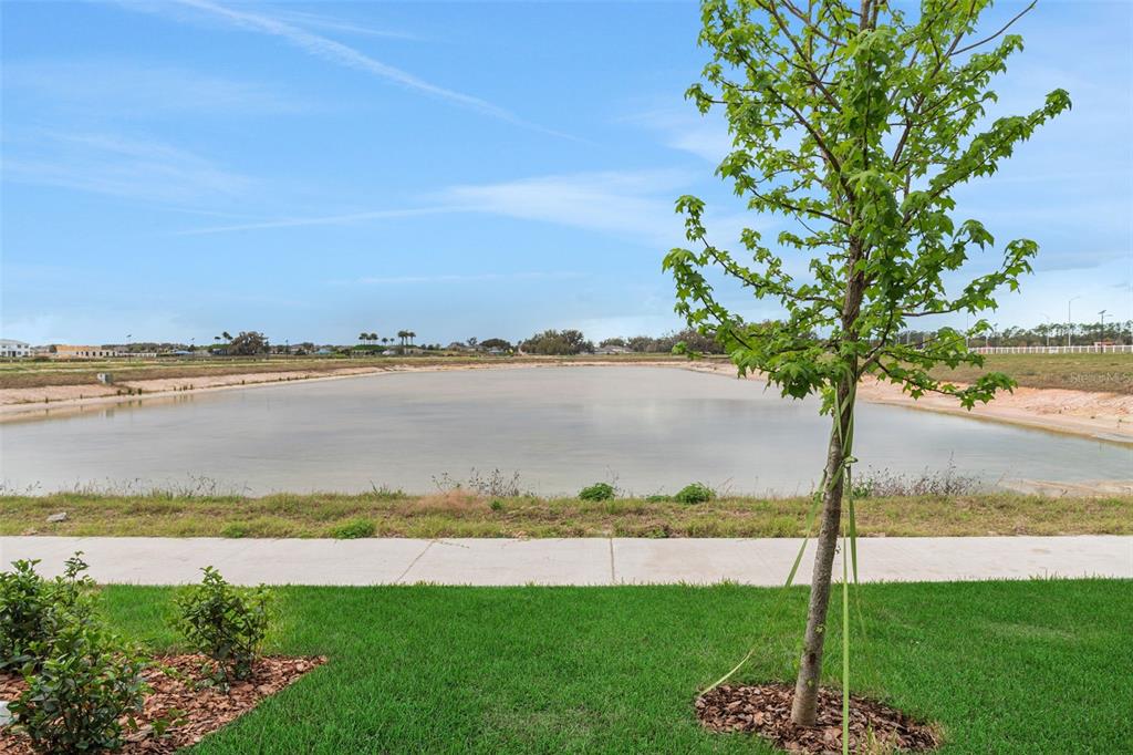 A young tree stands in a grassy yard overlooking a large retention pond — 31825 KESTREL CALLING DRIVE, SAN ANTONIO, FL