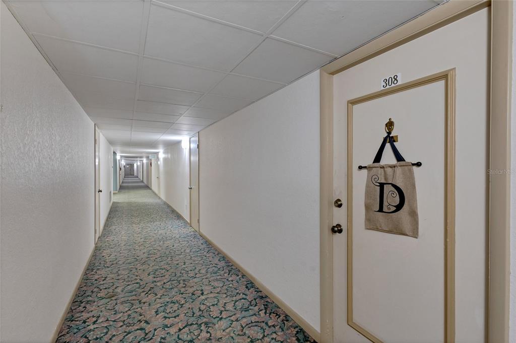A long indoor hallway with patterned carpet leads to a door labeled 308 — 19029 US HIGHWAY 19 N UNIT 9-308, CLEARWATER, FL