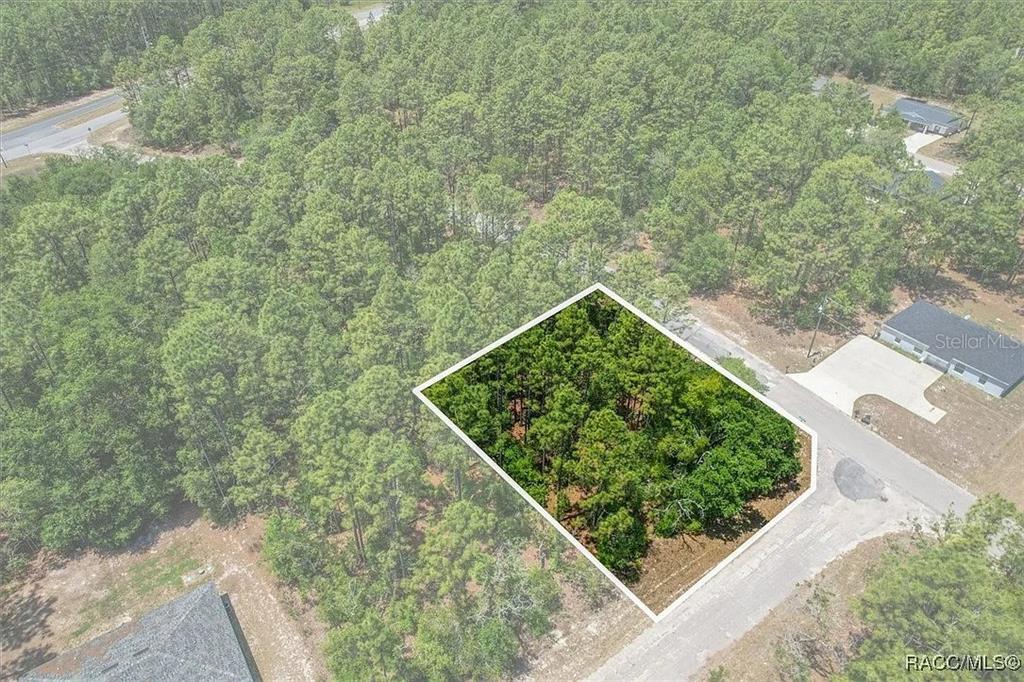 An aerial view shows a rectangular, wooded vacant lot outlined in white next to a road — 9410 N PEACHTREE WAY, CITRUS SPRINGS, FL