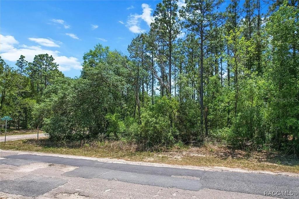 A paved road runs in front of a wooded, undeveloped residential lot — 9410 N PEACHTREE WAY, CITRUS SPRINGS, FL
