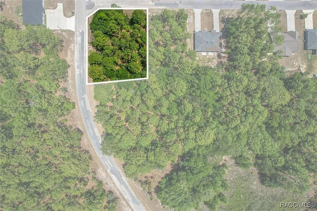 An aerial view shows a wooded, rectangular vacant lot outlined in white along a road — 9410 N PEACHTREE WAY, CITRUS SPRINGS, FL