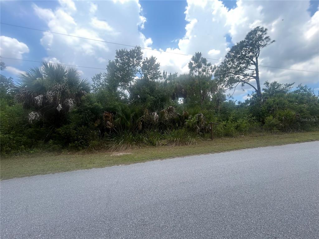 A paved road runs in front of a densely wooded, undeveloped lot — 1592 ADALIA TERRACE, PORT CHARLOTTE, FL