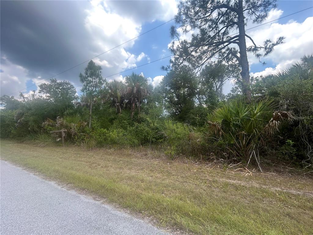 A view of a densely wooded, undeveloped lot bordering a paved road — 1592 ADALIA TERRACE, PORT CHARLOTTE, FL