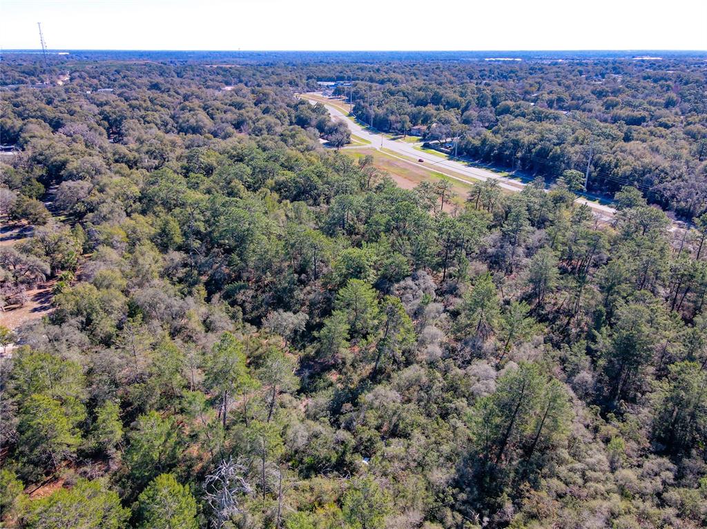 An aerial view shows a dense, wooded forest area adjacent to a paved road — W RHODE ISLAND AVENUE, ORANGE CITY, FL