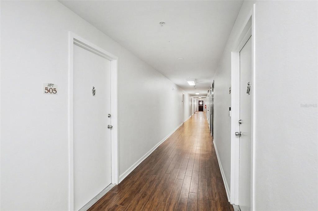 A long, narrow apartment hallway features white walls, wood-look flooring, and several closed doors — 406 S CEDAR AVENUE UNIT 505, TAMPA, FL