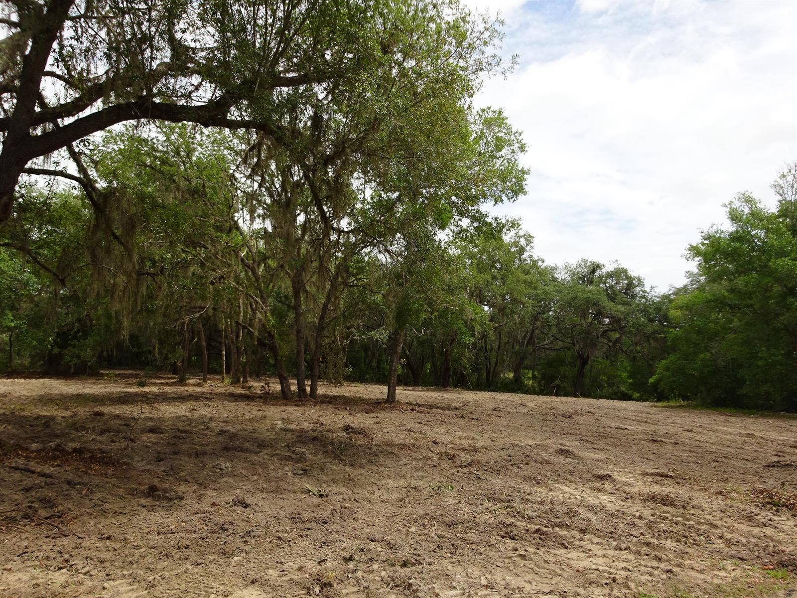 A cleared, sandy lot is bordered by a line of mature trees with Spanish moss — 0000 SW Shorewood Drive, FL, FL