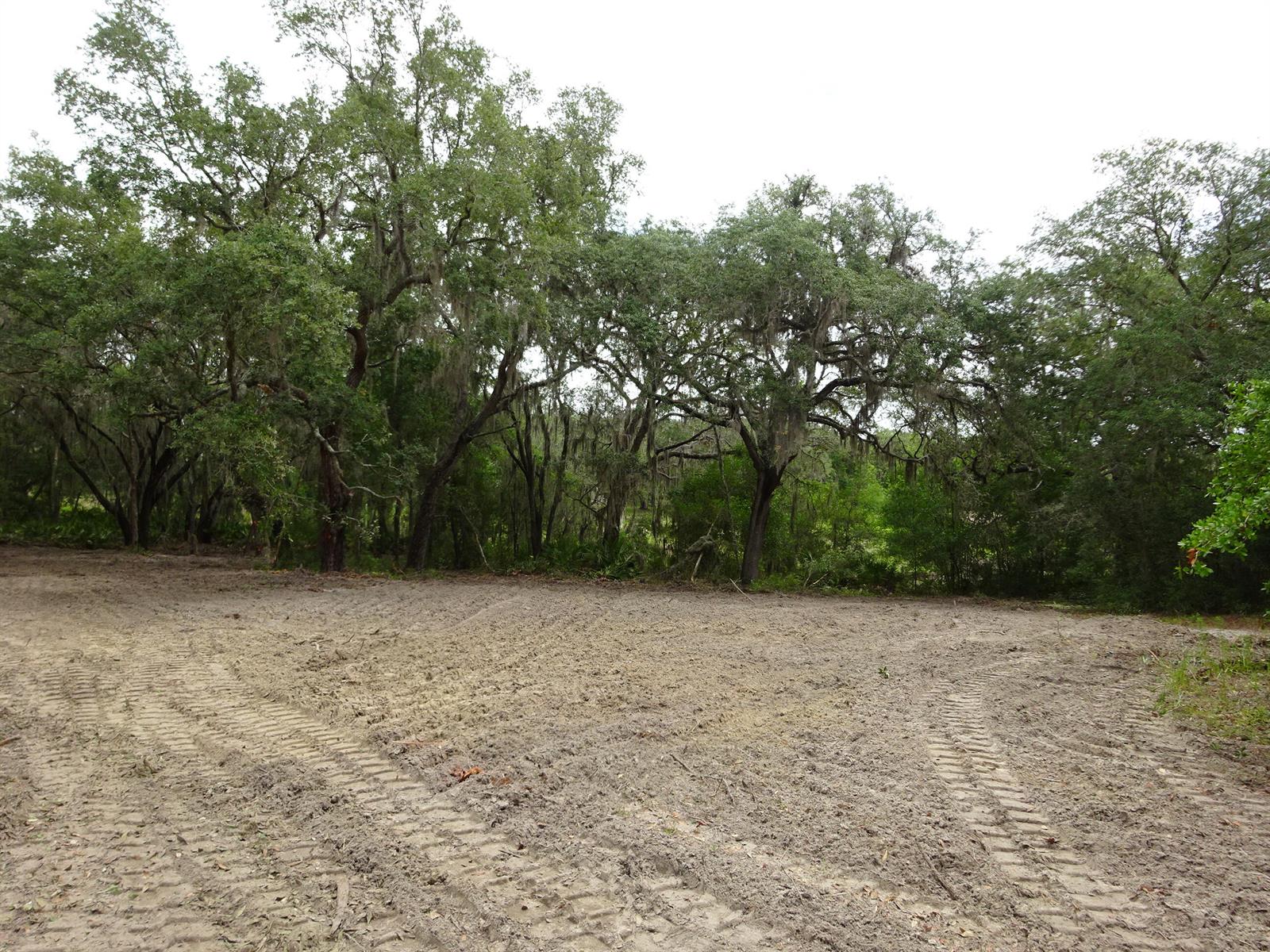 A cleared dirt lot with tire tracks sits in front of a line of trees — 0000 SW Shorewood Drive, FL, FL