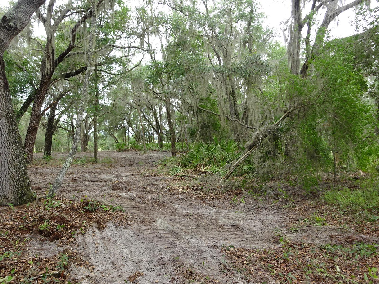 A wooded lot with cleared sandy ground and large trees draped in Spanish moss — 0000 SW Shorewood Drive, FL, FL
