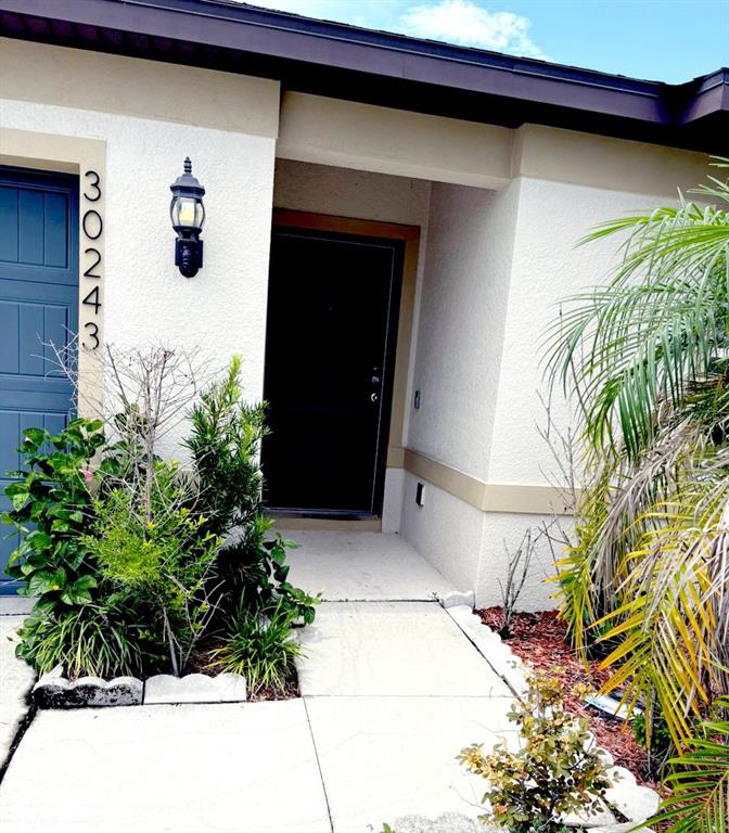 The exterior view shows a front entrance with a dark door, a wall-mounted light, and landscaping — 30243 MARQUETTE AVENUE, WESLEY CHAPEL, FL