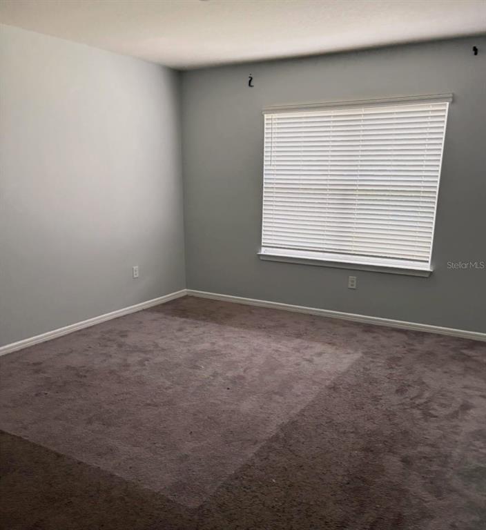 An empty bedroom with gray walls, brown carpet, and a window with white blinds — 30243 MARQUETTE AVENUE, WESLEY CHAPEL, FL