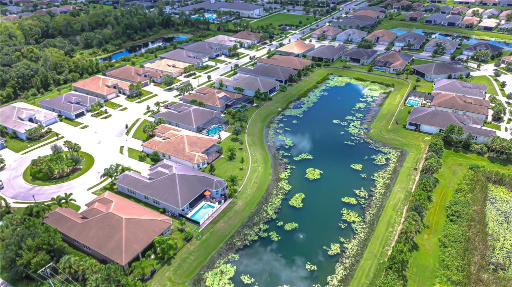 An aerial view shows a suburban neighborhood with houses surrounding a large, lily-covered pond — 15303 VALENCIA DEL SOL STREET, WIMAUMA, FL