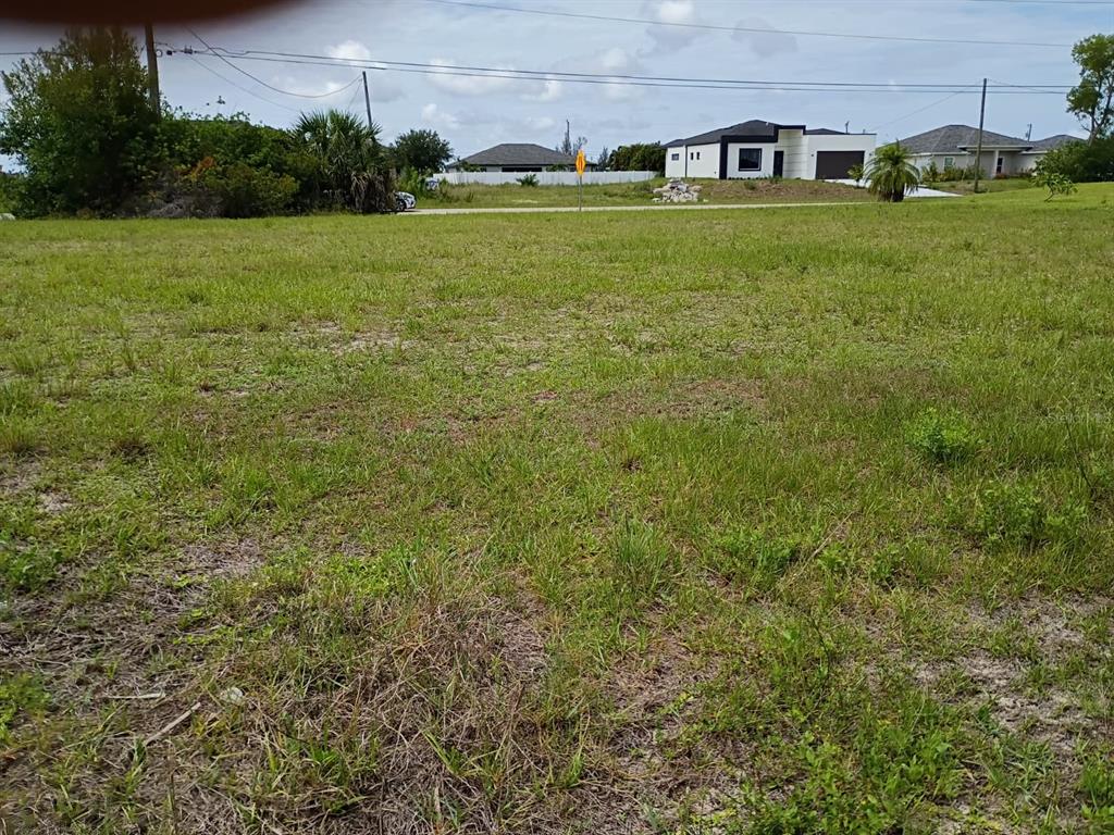 A grassy, undeveloped residential lot viewed from the street with neighboring houses in the background — 2915 DIPLOMAT PARKWAY W, CAPE CORAL, FL