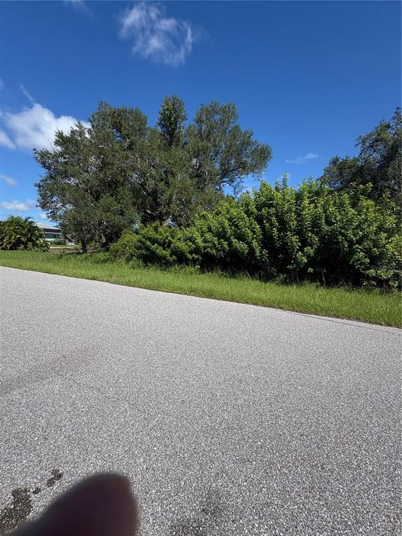 A paved road runs alongside a grassy lot with mature trees and dense bushes — 12773 BACCHUS ROAD, PORT CHARLOTTE, FL