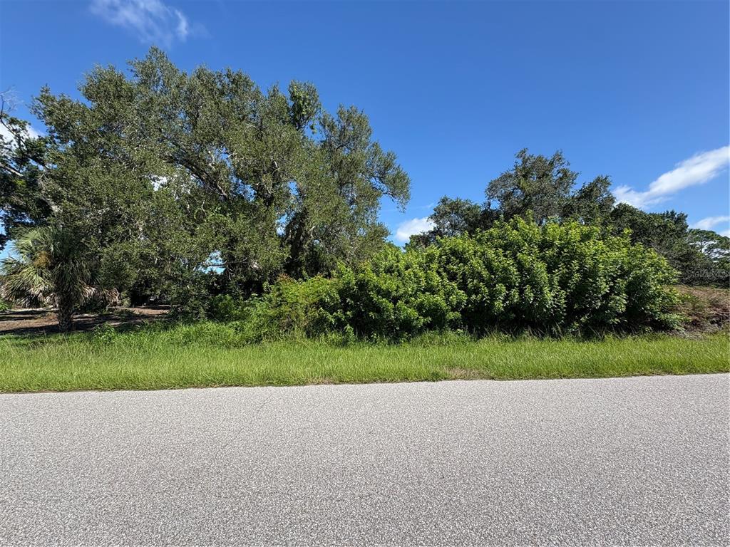 A paved road runs in front of a vacant lot with dense trees and vegetation — 12773 BACCHUS ROAD, PORT CHARLOTTE, FL