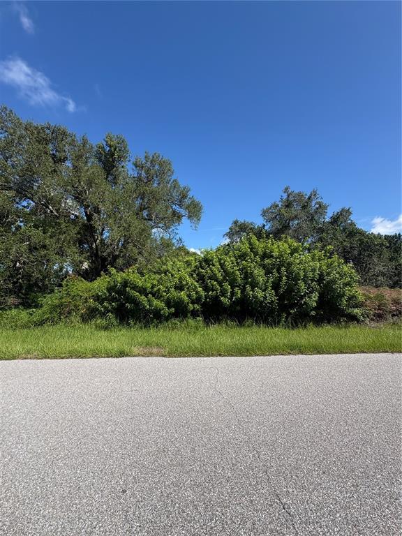 A paved road runs in front of a grassy lot with trees and dense bushes — 12773 BACCHUS ROAD, PORT CHARLOTTE, FL