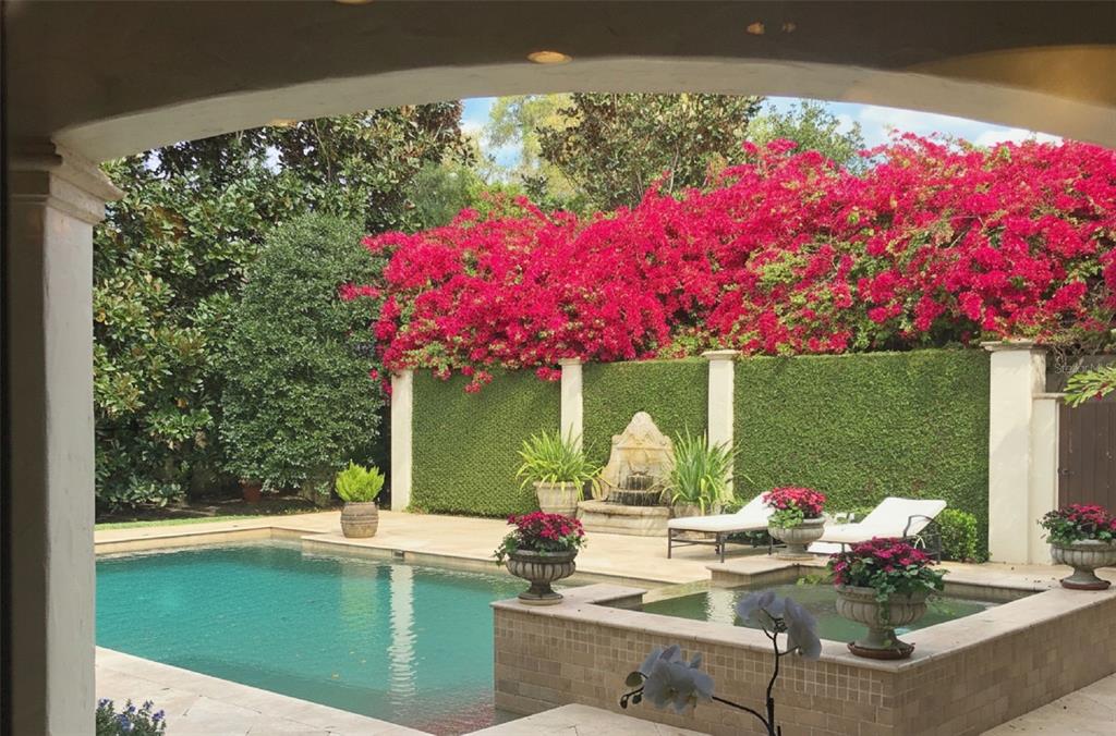 A swimming pool and spa sit on a stone patio with a vibrant bougainvillea hedge — 1571 WOODLAND AVENUE, WINTER PARK, FL