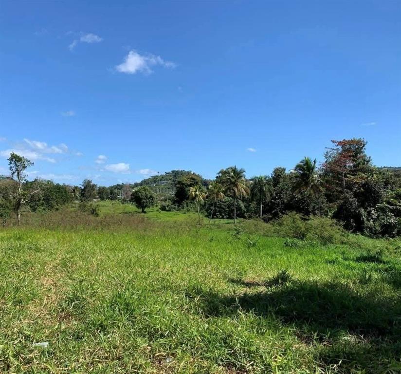 PR 6684 BUENA VISTA KM HM 2.5