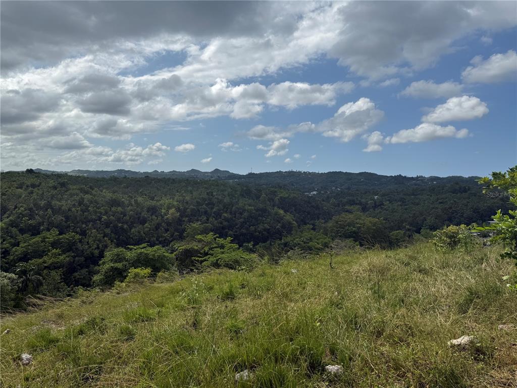 A grassy hillside overlooks a vast, forested valley under a cloudy blue sky — PR 6684 BUENA VISTA KM HM 2.5, MOROVIS, PR
