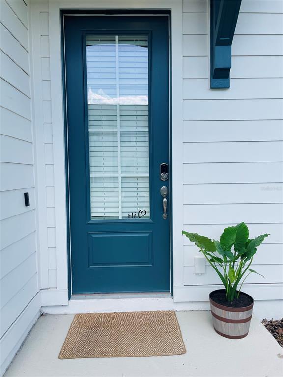 A teal front door with a glass panel sits beside a potted plant and mat — 1039 PLANTATION LANE, DAVENPORT, FL