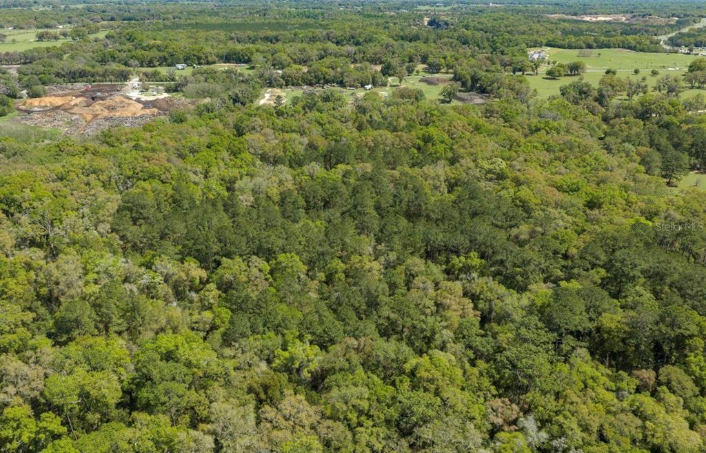 An aerial view shows a dense, wooded forest area adjacent to open fields and dirt piles — 1 NW 38TH AVENUE UNIT OF, OCALA, FL