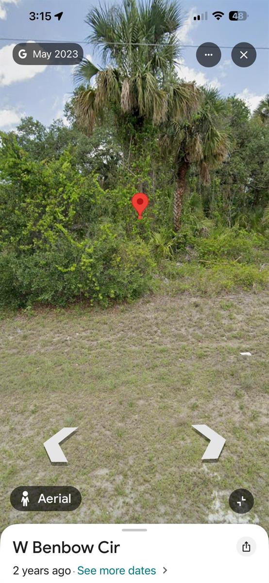 A red location pin marks a dense, overgrown wooded lot with a tall palm tree — 1054 Bow Run, FL 33935, FL