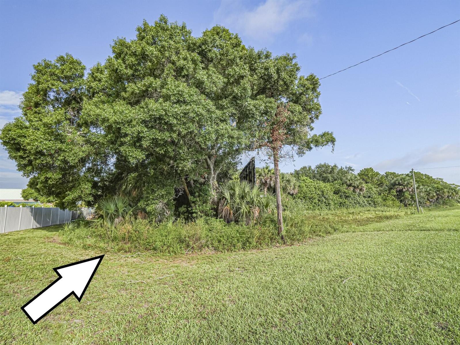 A large tree and dense vegetation stand on a grassy lot next to a fence — 7555 Us Highway 1, Vero Beach FL 32967, VERO BEACH, FL